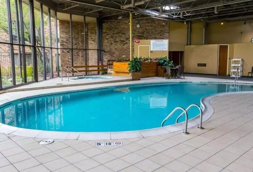 ホテル Comfort Inn & Suites