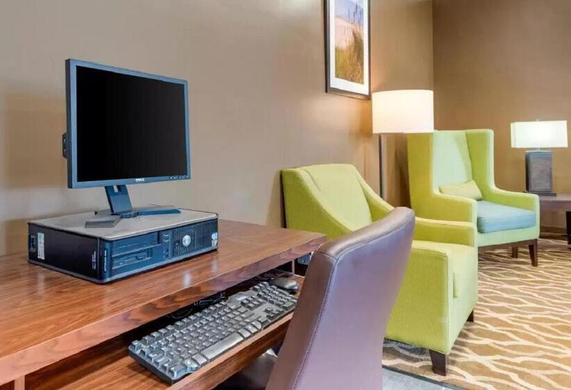 Отель Comfort Inn & Suites