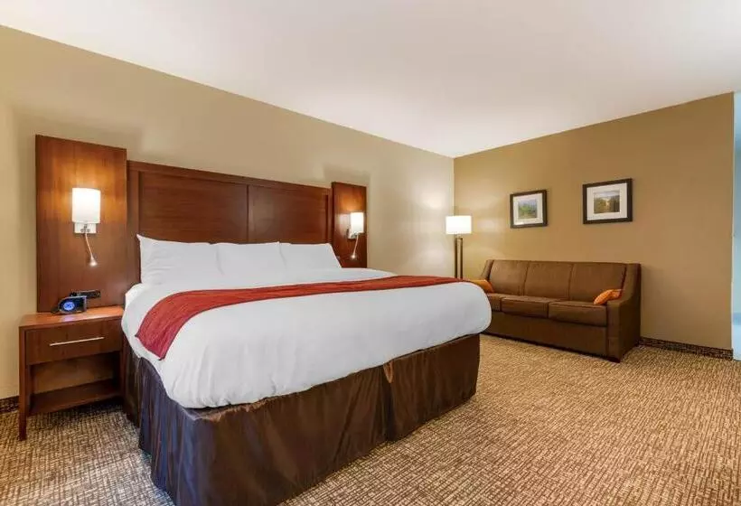 ホテル Comfort Inn & Suites
