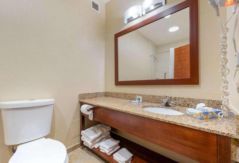 Отель Comfort Inn & Suites