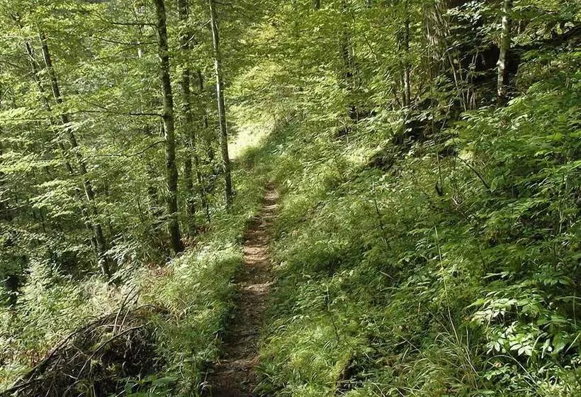 Hotelli Fleur De Lis