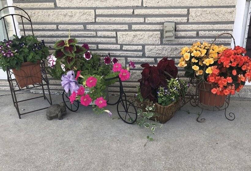 Panoramic Motel & Apartments