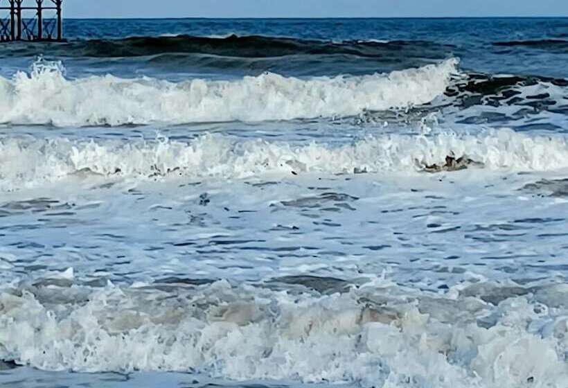 Pensjonat Belle Dene Guest House