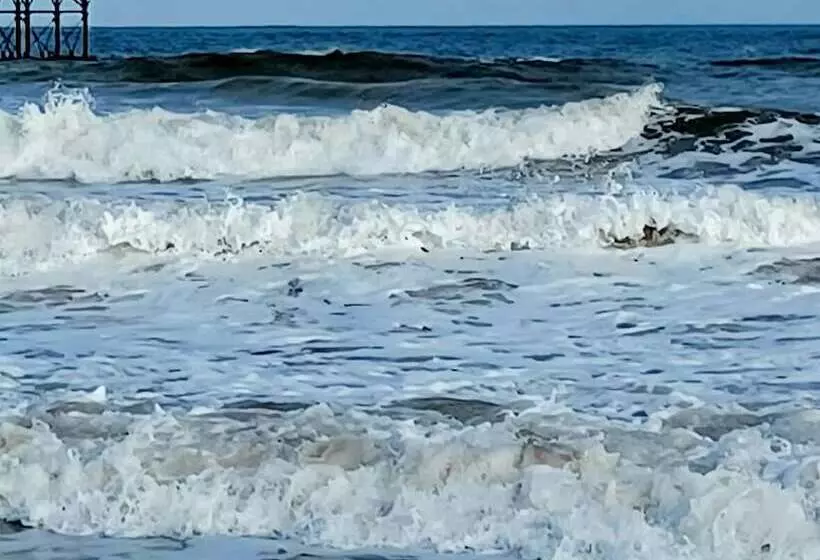 ペンション Belle Dene Guest House