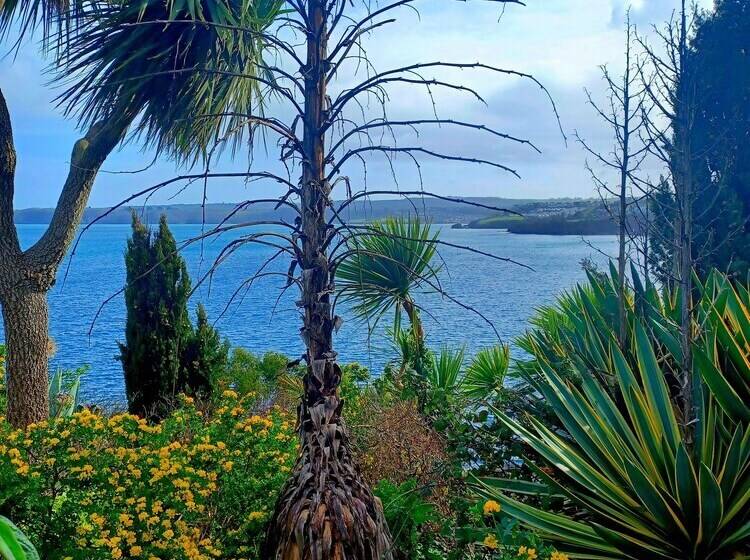 Pensione Belle Dene Guest House