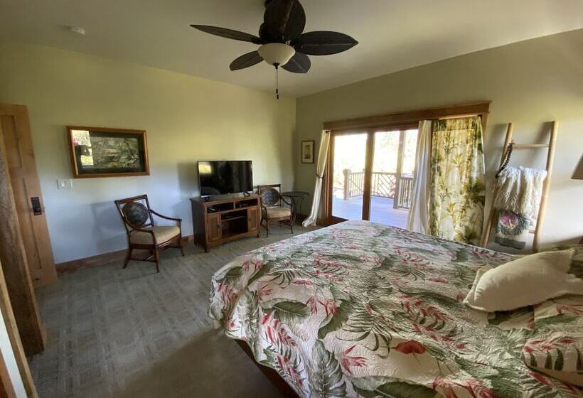 Volcano Rainforest Lodge