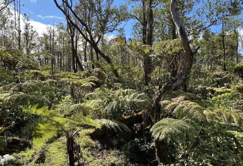 Volcano Rainforest Lodge