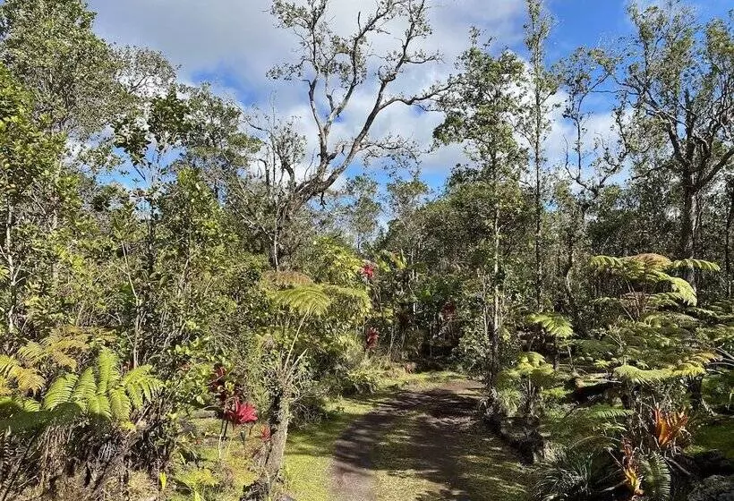Volcano Rainforest Lodge