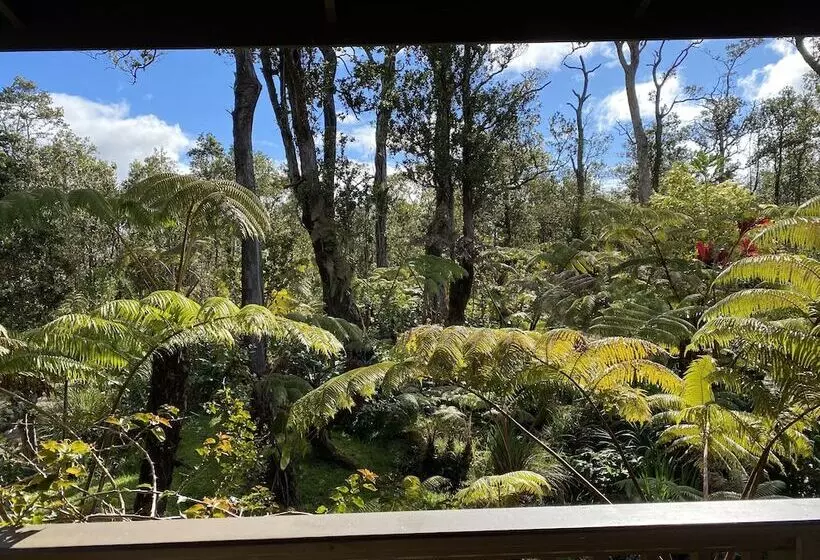 Volcano Rainforest Lodge