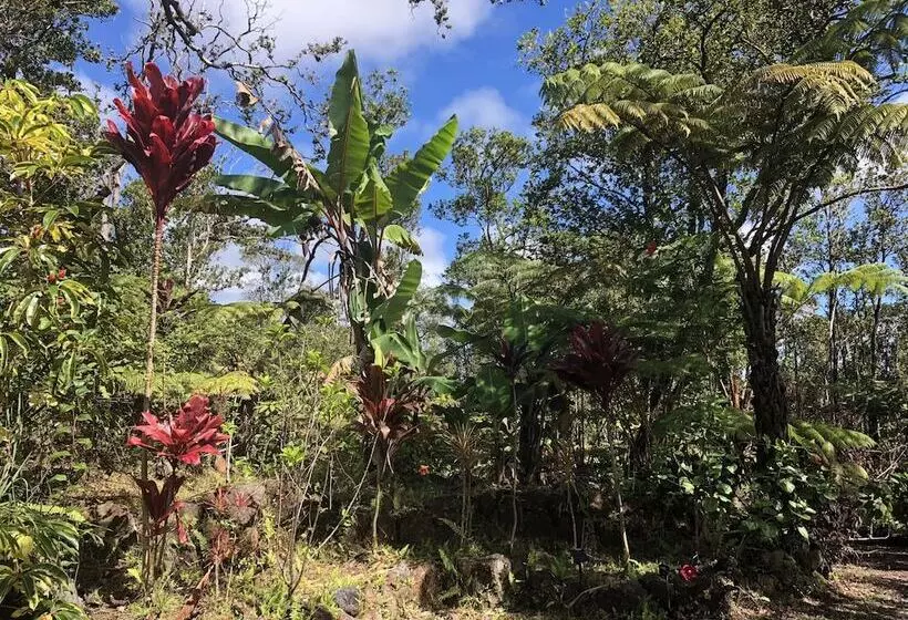 Volcano Rainforest Lodge