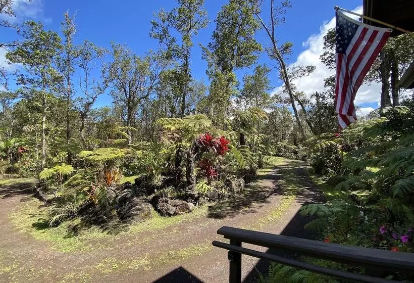 Volcano Rainforest Lodge