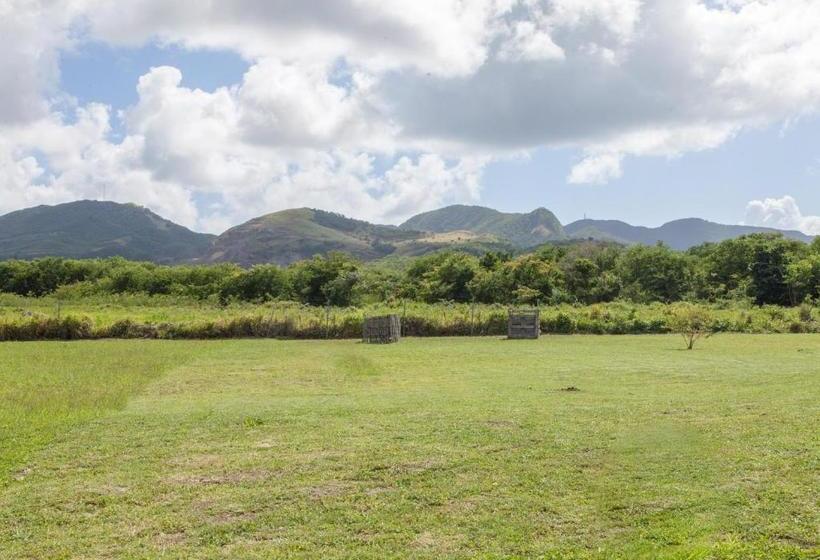 Caribbean Holiday Apartment