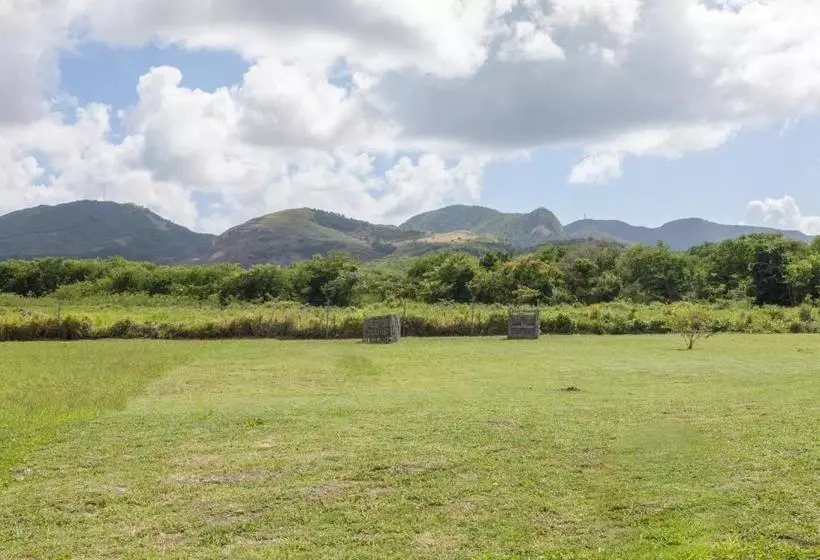 Caribbean Holiday Apartment