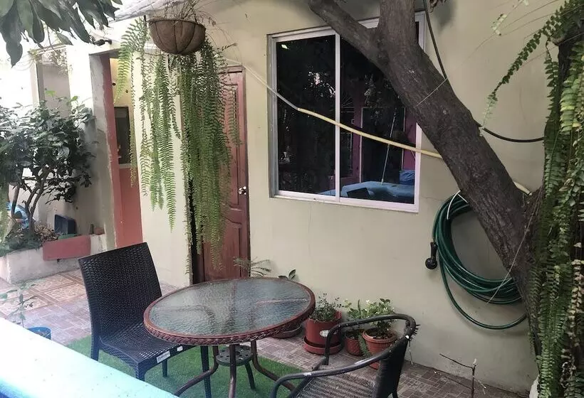 Funky Monkey Hostel