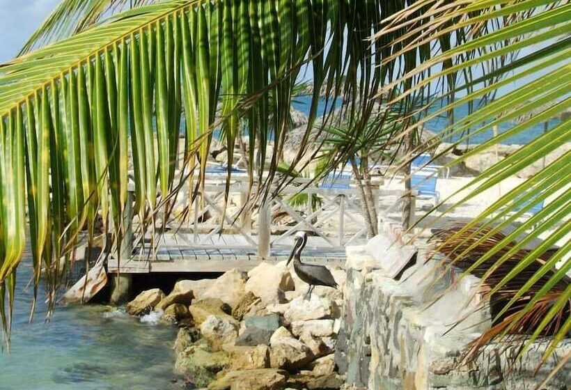 ホテル Northshore Seaside Suites