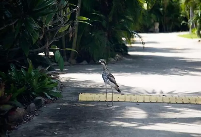 ホテル Nrma Airlie Beach Holiday Park