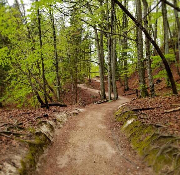 Pool Apartments Plitvice Lakes