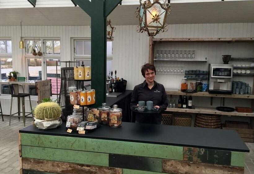 Adventure Park Apartments