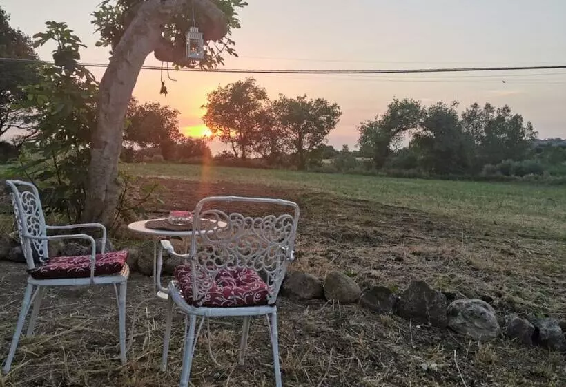 Aamiaismajoitus (B&B) Al Passo Di Thalia