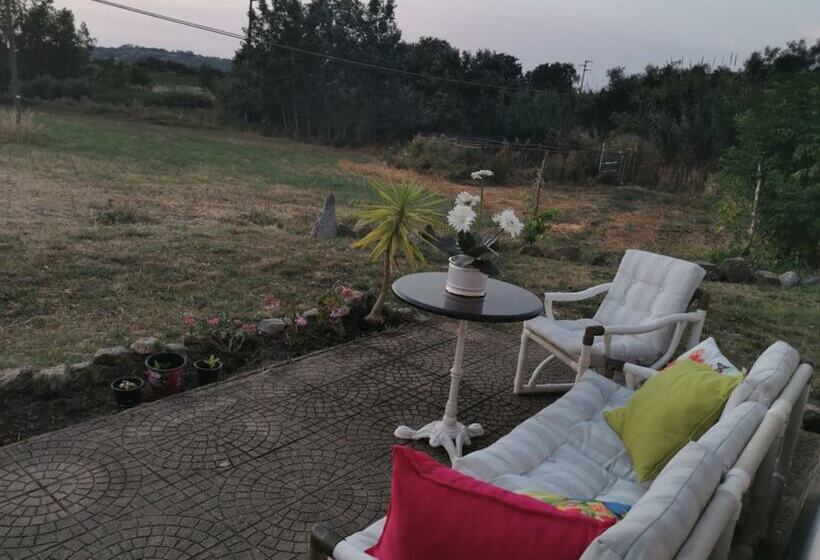 住宿加早餐  Al Passo Di Thalia