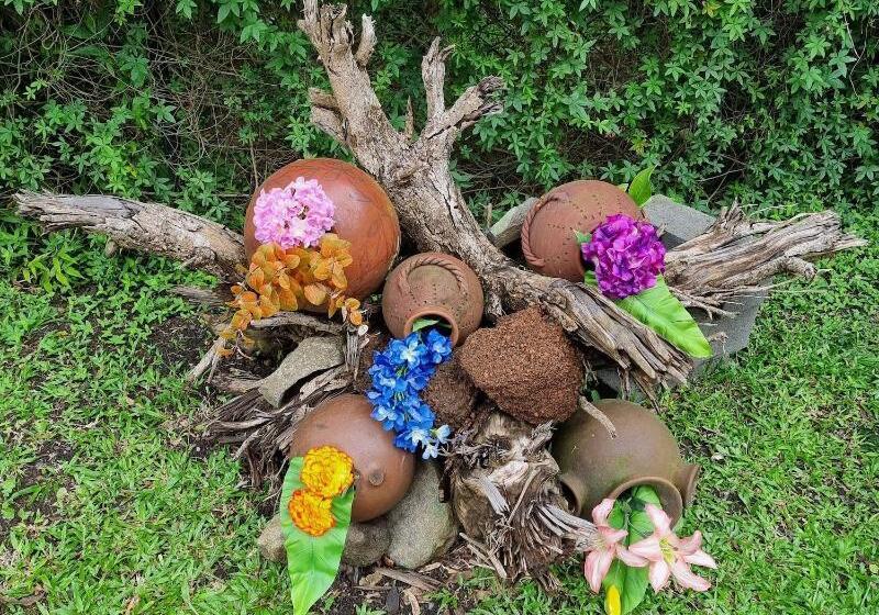 בית מלון כפרי Calathea Lodge Monteverde