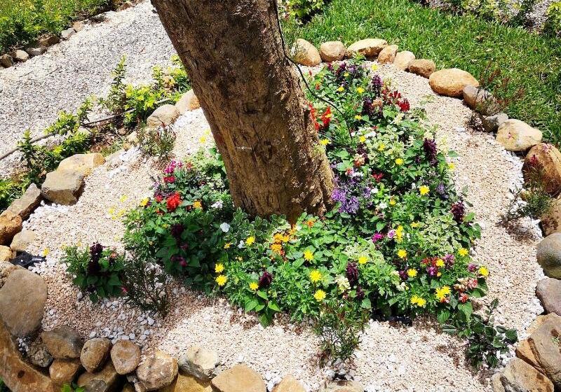 בית מלון כפרי Calathea Lodge Monteverde