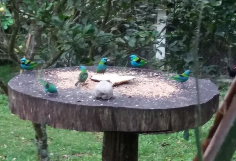 فندق Fazenda Rio Grande