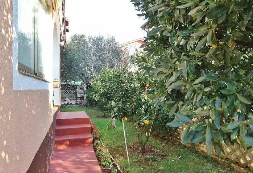 Apartments Nerina