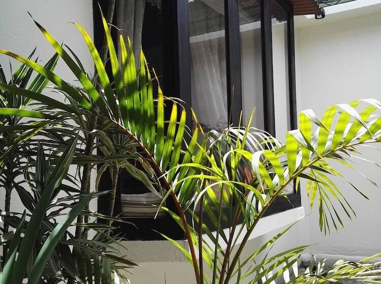 تختخواب و صبحانه Casa Elizabeth