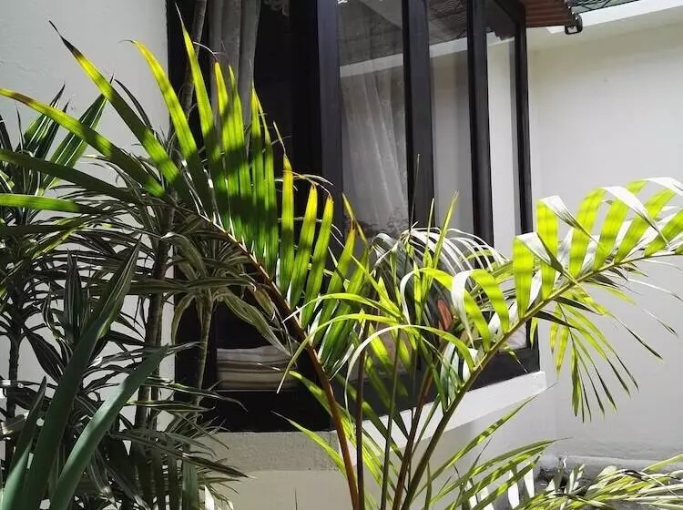تختخواب و صبحانه Casa Elizabeth