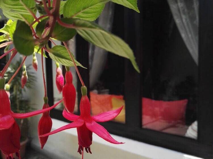 تختخواب و صبحانه Casa Elizabeth