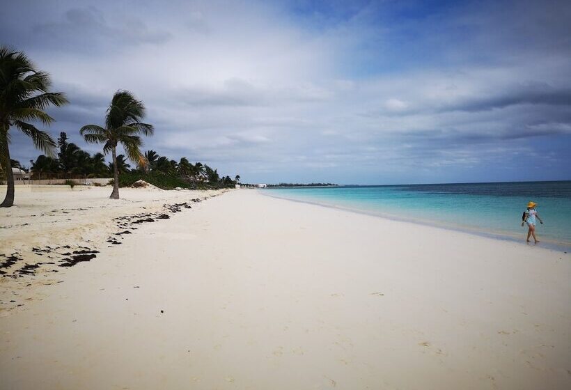 Coral Beach Hotel And Condominiums