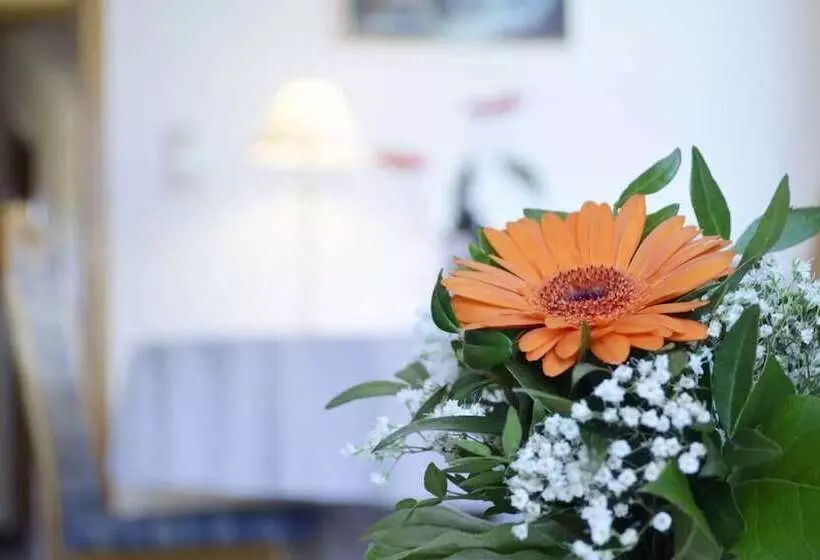 Ferienwohnungen Thanner