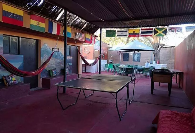 Hostal Covaine   Hostel