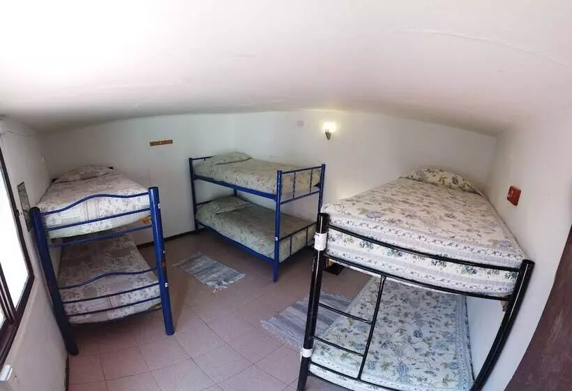 Hostal Covaine   Hostel