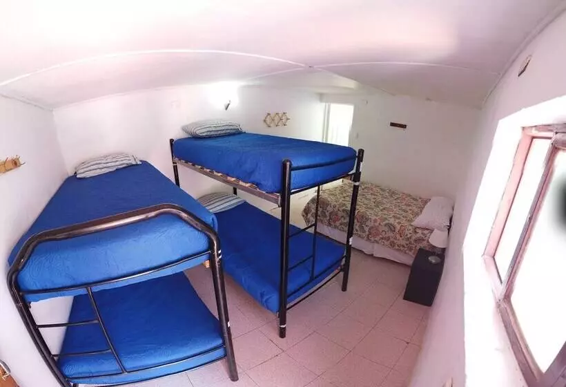 Hostal Covaine   Hostel