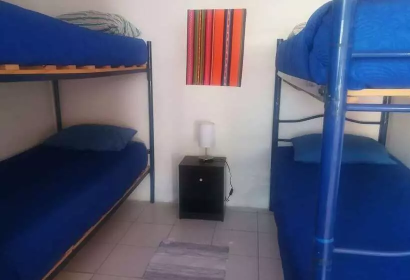 Hostal Covaine   Hostel