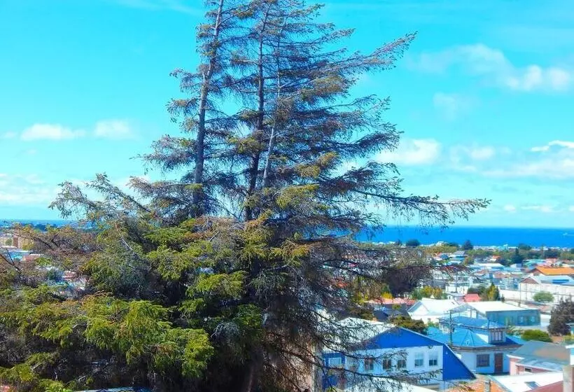 Hotelli Hostal Buenavista Patagonia