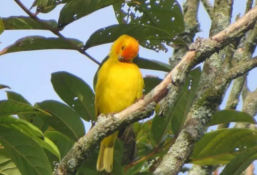 Finca Hotel El Palmar