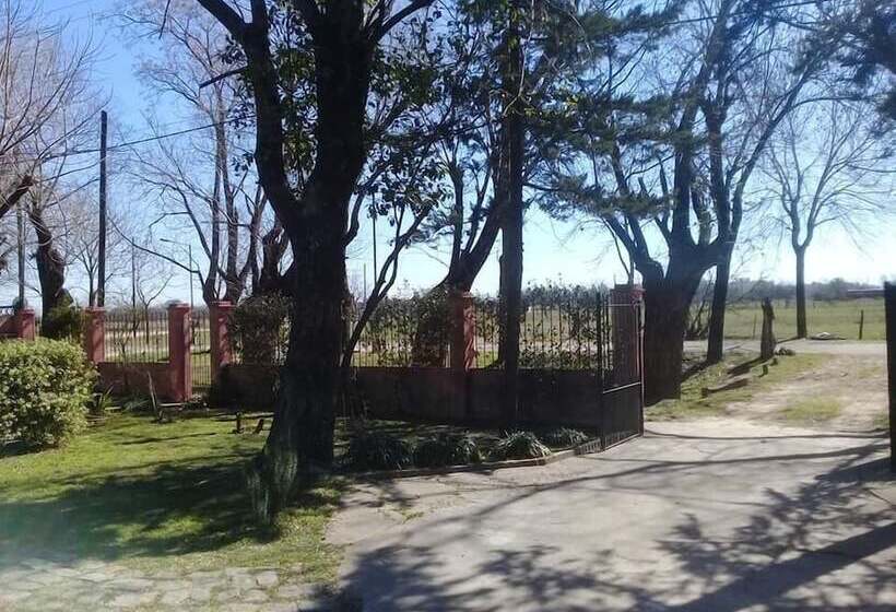 مبيت وإفطار Posada Don Salvador