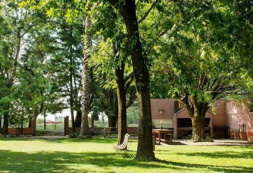 مبيت وإفطار Posada Don Salvador