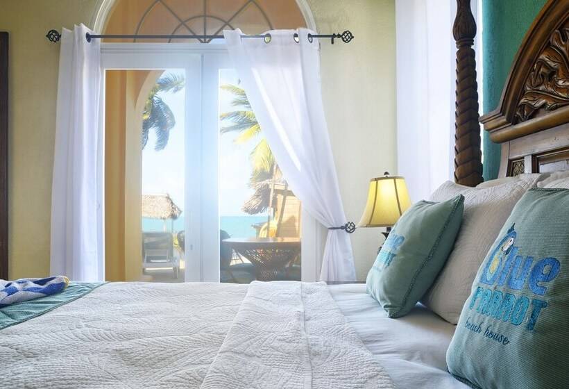 Blue Parrot Beach House