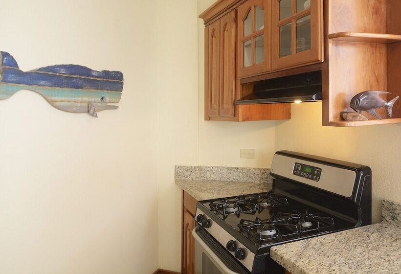 Blue Parrot Beach House