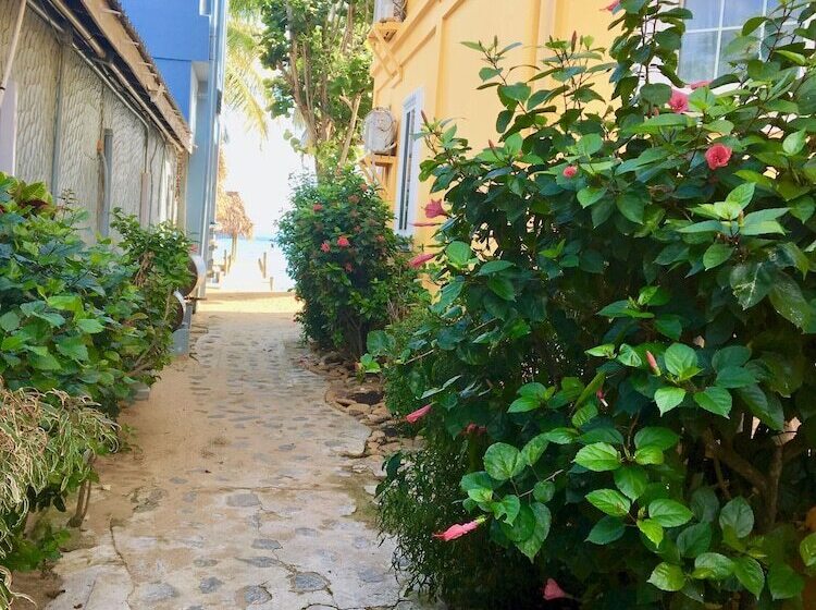 Blue Parrot Beach House