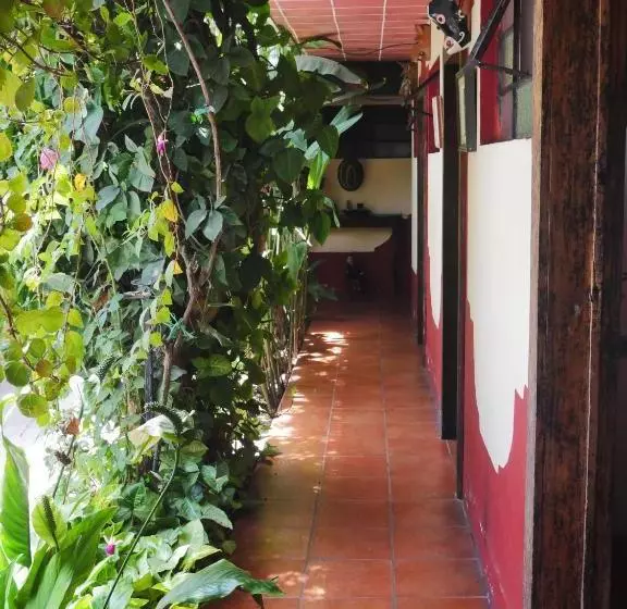 هتل La Casa De Don Ismael