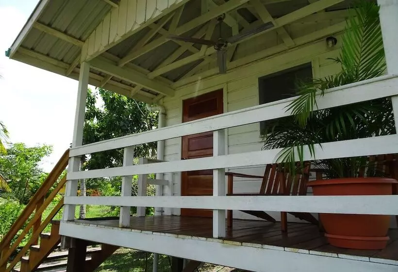 هتل Maya Hill Lodge