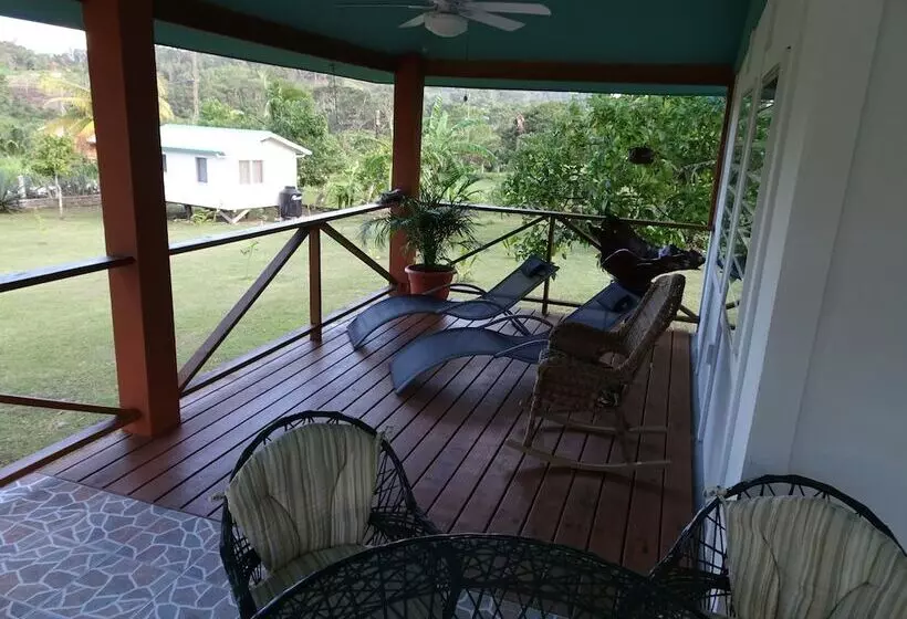 هتل Maya Hill Lodge