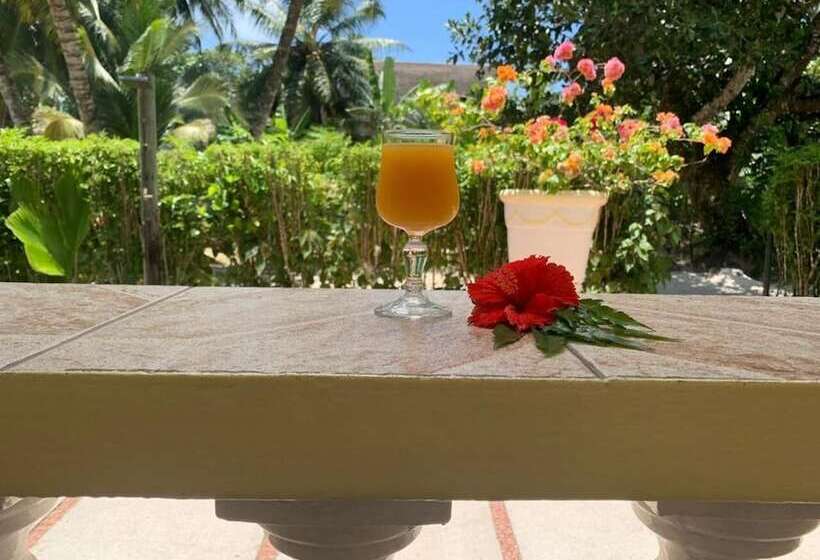 پانسیون Kot Babi