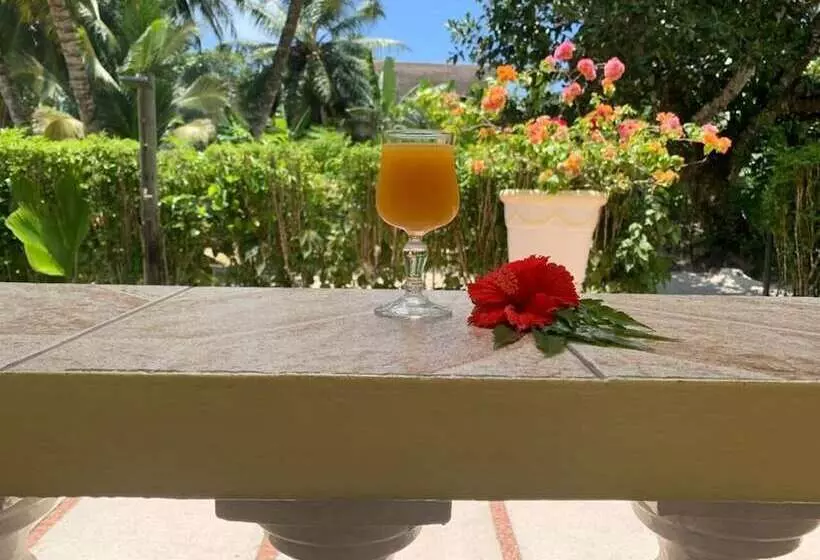 پانسیون Kot Babi