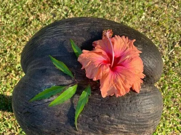 پانسیون Kot Babi